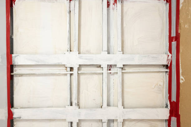 Best Industrial Mold Remediation  in Salem, IN