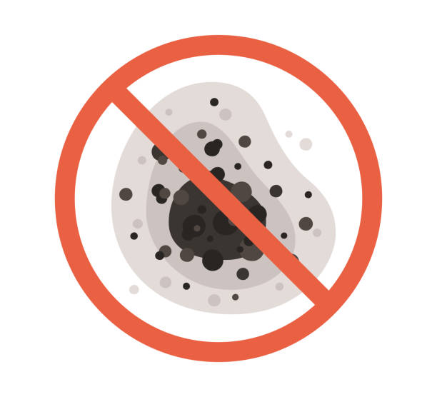 Mold Remediation for Rental Properties in Salem, IN
